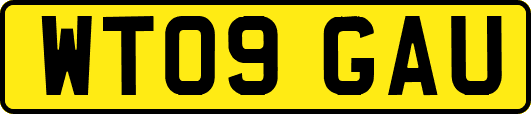 WT09GAU