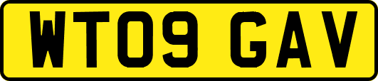 WT09GAV
