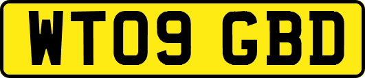 WT09GBD