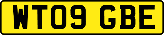 WT09GBE