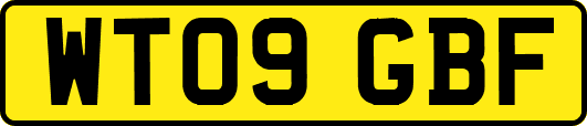 WT09GBF