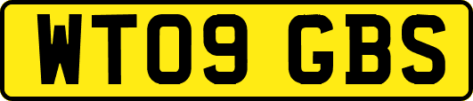 WT09GBS