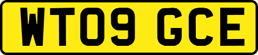 WT09GCE