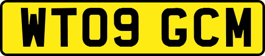 WT09GCM