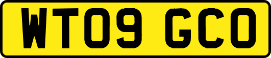 WT09GCO