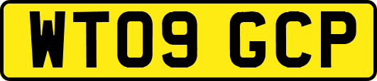 WT09GCP