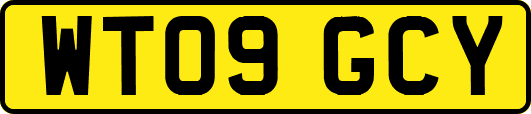 WT09GCY