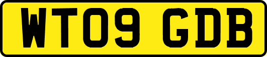 WT09GDB
