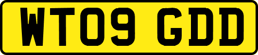 WT09GDD