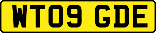 WT09GDE