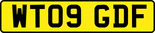 WT09GDF