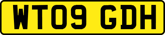 WT09GDH