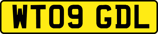 WT09GDL