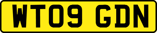 WT09GDN