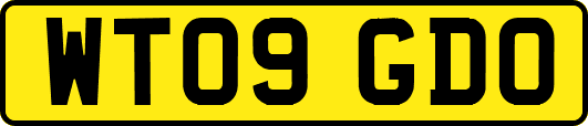 WT09GDO