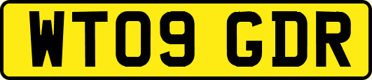 WT09GDR