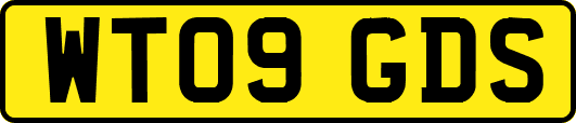 WT09GDS