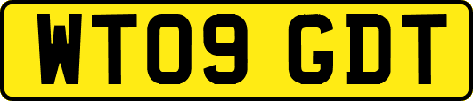 WT09GDT