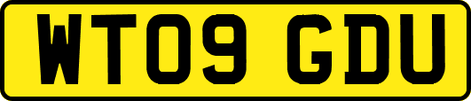 WT09GDU