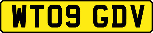 WT09GDV