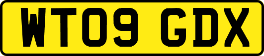 WT09GDX
