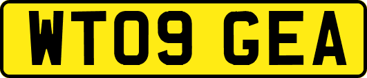 WT09GEA