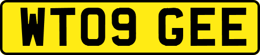 WT09GEE