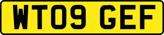 WT09GEF