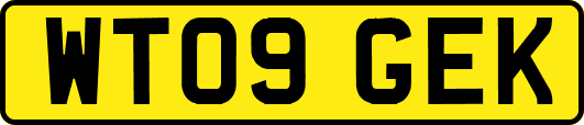 WT09GEK