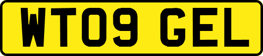WT09GEL