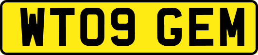 WT09GEM