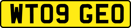 WT09GEO