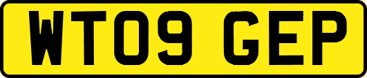 WT09GEP