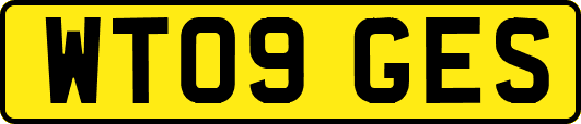 WT09GES