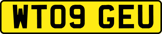 WT09GEU