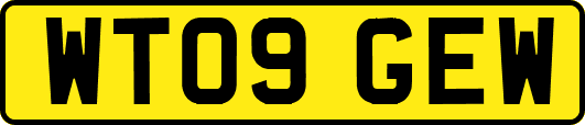 WT09GEW
