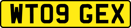 WT09GEX