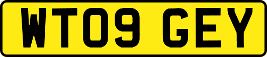 WT09GEY
