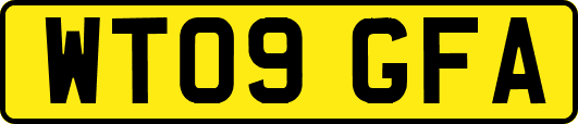 WT09GFA
