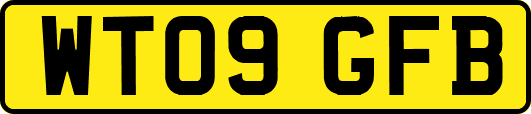WT09GFB