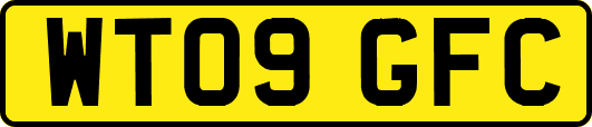 WT09GFC