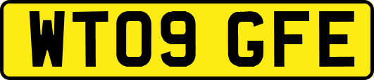 WT09GFE