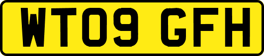 WT09GFH