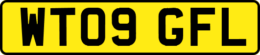 WT09GFL