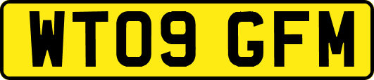 WT09GFM