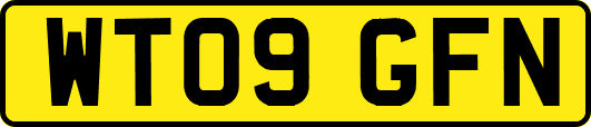 WT09GFN