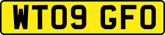 WT09GFO
