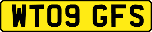 WT09GFS