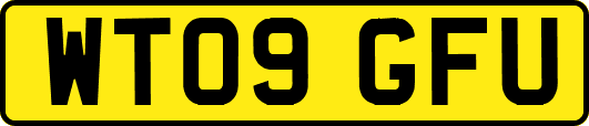 WT09GFU