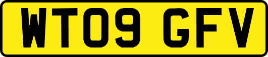 WT09GFV
